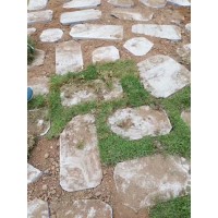 青石草坪石、青石草坪磚、青石汀步石《重點(diǎn)推薦》